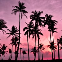 tanned model in water